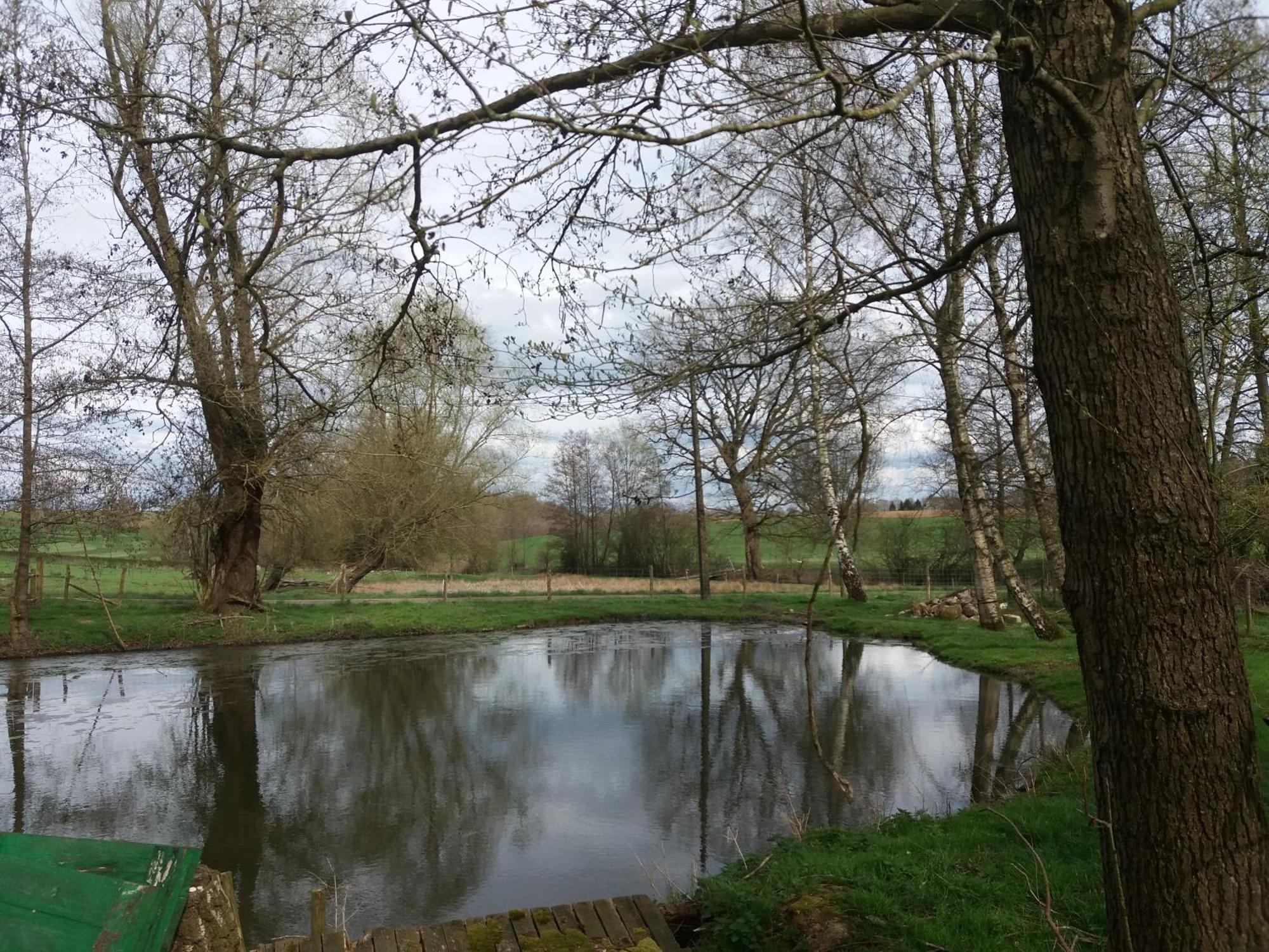 Appartamento Le sentier des étangs Barsy Esterno foto