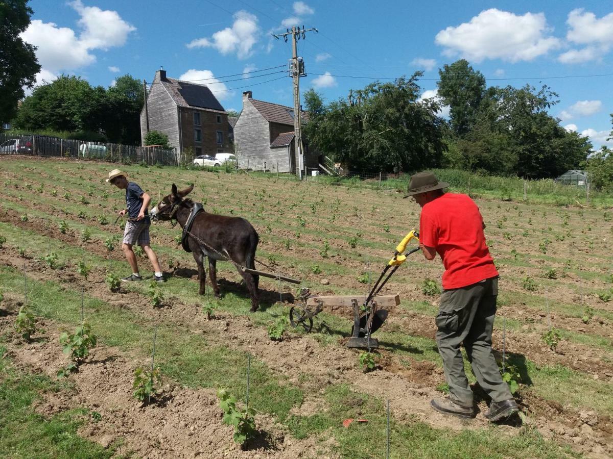 Appartamento Le sentier des étangs Barsy Esterno foto